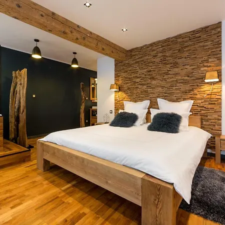 Les Sainte Claire Apartment Annecy